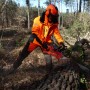 Spodnie robocze antyprzecięciowe pilarza arborysty Solidur INFINITY kl.1 pomarańczowe