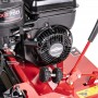 Wertykulator spalinowy Weibang WB384RB Briggs&Stratton
